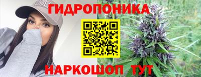 дживик Жуковский