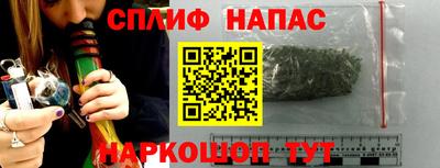 альфа пвп Заводоуковск