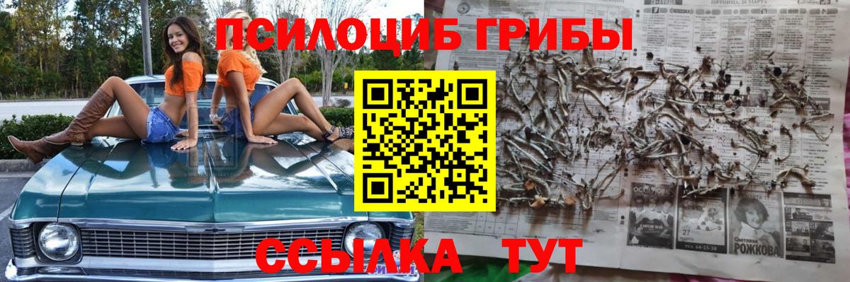 Псилоцибиновые грибы мицелий Минеральные Воды