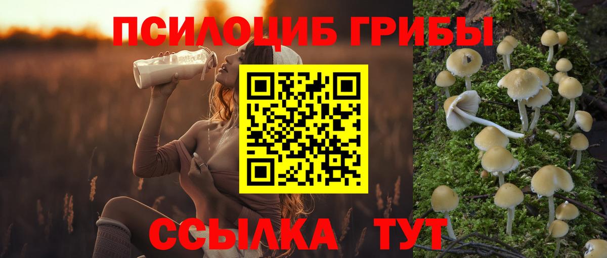 Псилоцибиновые грибы мицелий  Вход с VPN  Галлюциногенные грибы мицелий  Минеральные Воды 