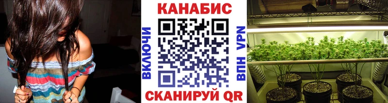 где купить наркоту  Минеральные Воды  Шишки марихуана гибрид 
